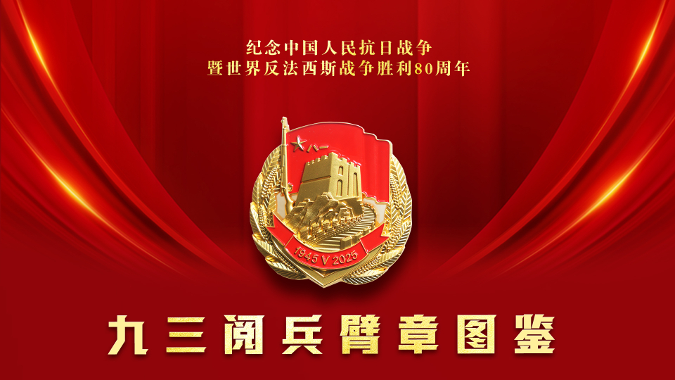 請收藏！九三閱兵臂章圖鑒