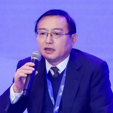 湖北省宜昌市委政法委常務副書記田紅