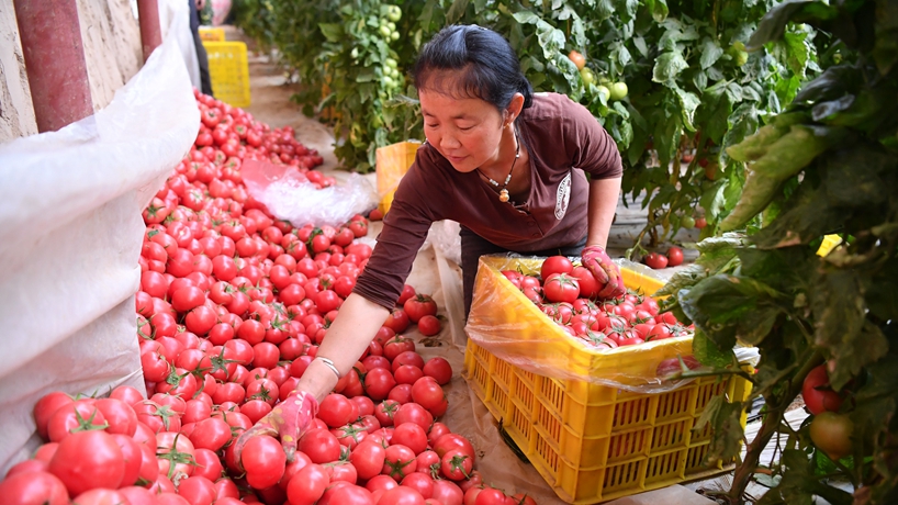春天里,我們一起譜寫振興新歌