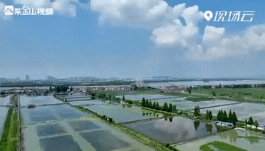 養(yǎng)蟹人:守護豐收的希望