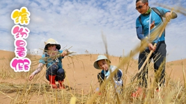 “雙減”后的第一個暑假,小朋友們是怎么度過的?