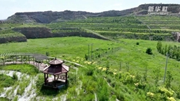 河北武安:采石場轉型農業示范園