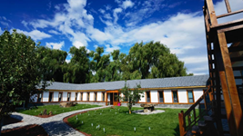 黑龍江寧安:大學生返鄉創業助力縣域經濟發展