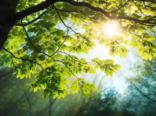 “守護心‘晴’——全民心理健康服務公益行動”落地甘肅永靖