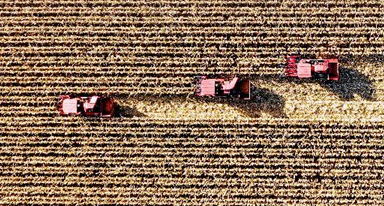 非凡十年｜吉林：加快推動(dòng)全面振興、全方位振興