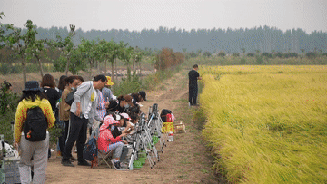 田園變“游園”,活力鄉村引客來