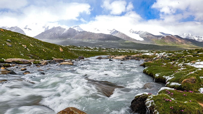 “把脈”江源 守護(hù)“中華水塔”——江源科考十年觀察
