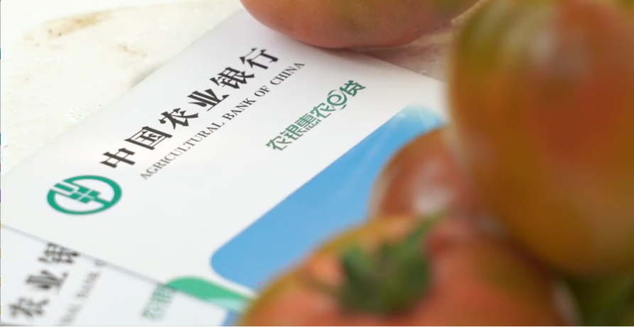 金融活水润“三农” 消费热潮促振兴