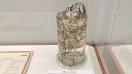 獻(xiàn)給世界的禮物——“青蒿素研究”持續(xù)助力全球抗瘧