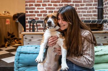 法國里爾:流浪狗咖啡館