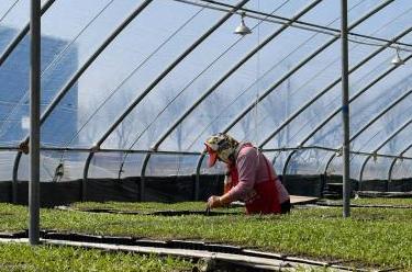 天津:春暖育新苗