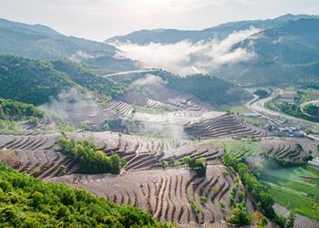 陜西略陽:梯田如畫