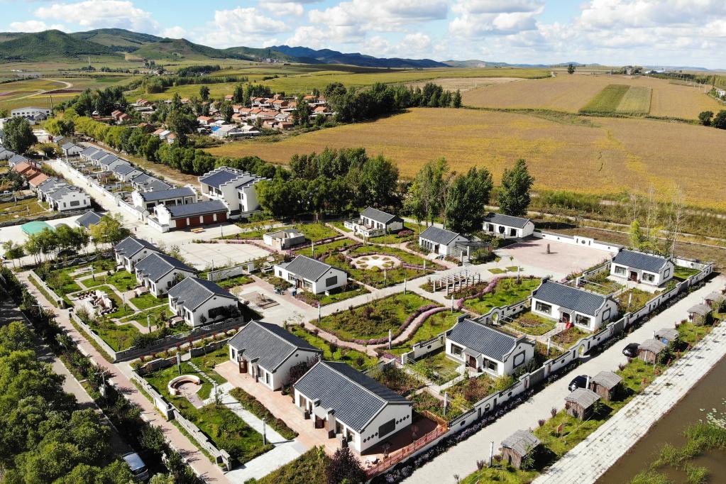 新華全媒+|黑龍江勃利:寒地中草藥產(chǎn)業(yè)助力鄉(xiāng)村振興