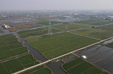 安徽蕪湖:“小田變大田”為鄉(xiāng)村振興注入新動(dòng)能