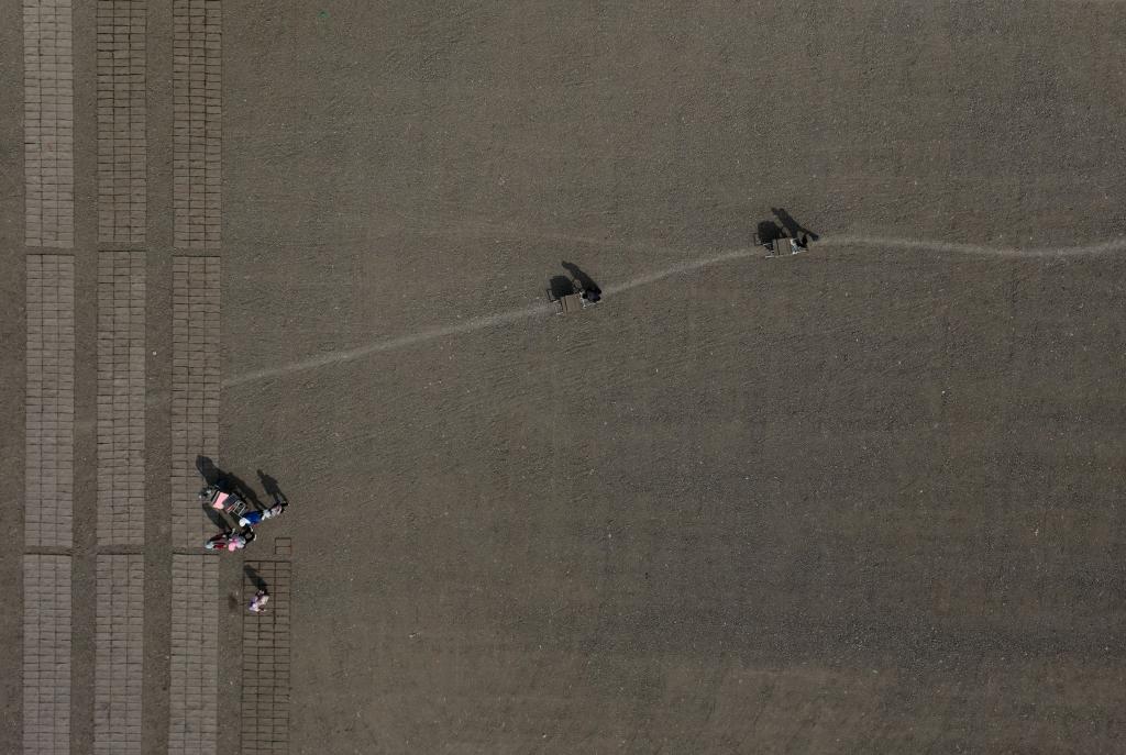 河北蘆臺:春風拂 育秧忙