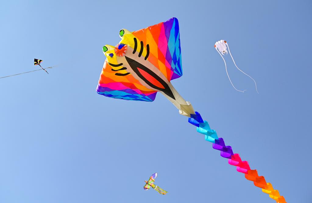 內蒙古鄂爾多斯:紙鳶飛舞頌春色