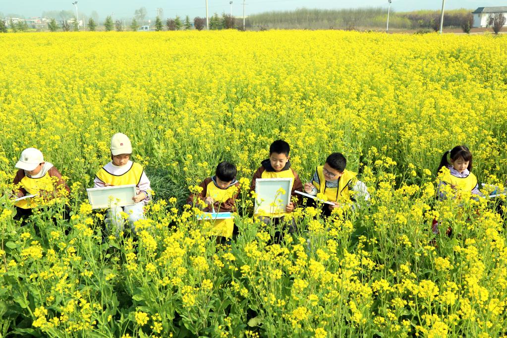河南汝陽:鐵頂山下花芬芳