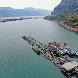 （新華全媒頭條·圖文互動(dòng)）（1）生態(tài)美、產(chǎn)業(yè)興、文化昌——長江經(jīng)濟(jì)帶生態(tài)優(yōu)先、綠色發(fā)展見聞