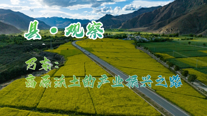 县·观察｜乃东：高原沃土的产业振兴之路