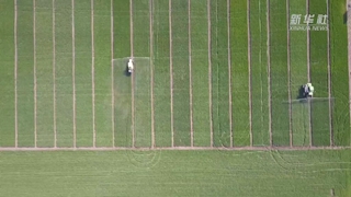 如何讓假劣化肥不再坑農(nóng)害農(nóng)？