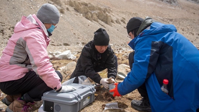 特寫:珠峰科考“尋寶人”