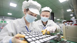 復工復產進行時丨點滴創新、集群發展……這些企業堅定擴產