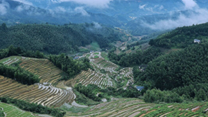 非凡十年|江西:描繪新時代改革發展新畫卷