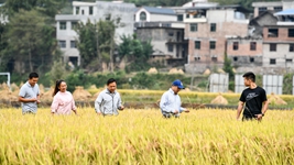 新農(nóng)人給鄉(xiāng)村振興帶來哪些新面貌?