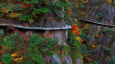 安徽九華山:霜染丹林,感受自然之美