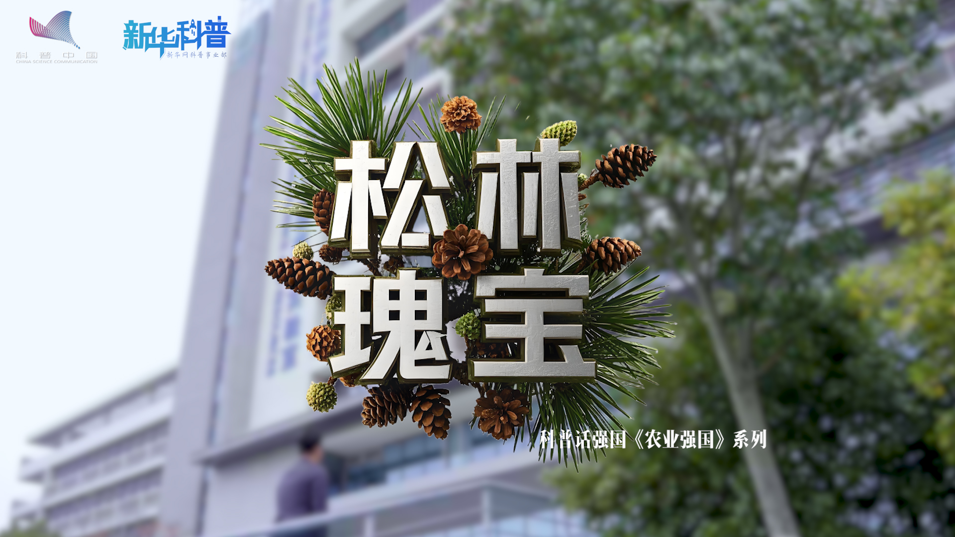 新华科普丨科普话强国农业强国系列《松林瑰宝》