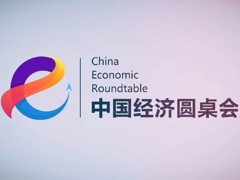 大型全媒體訪談節(jié)目“中國經(jīng)濟圓桌會”第十一期上線
