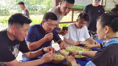 走出島內“悶經濟”困境,“登陸”成重要選擇