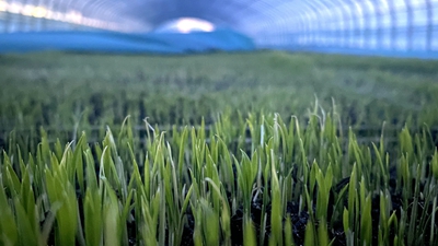 端牢“中國飯碗”,“北大倉”想這么干