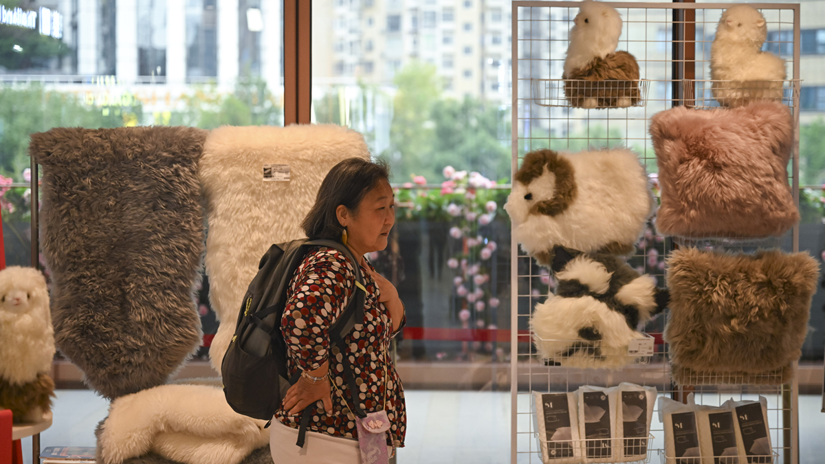 上海：進博集市迎客來