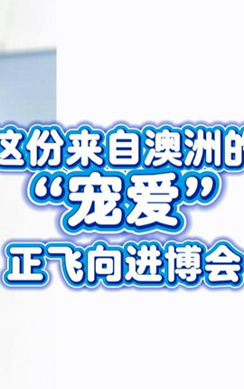 這份來自澳洲的“寵愛”，正飛向進博會