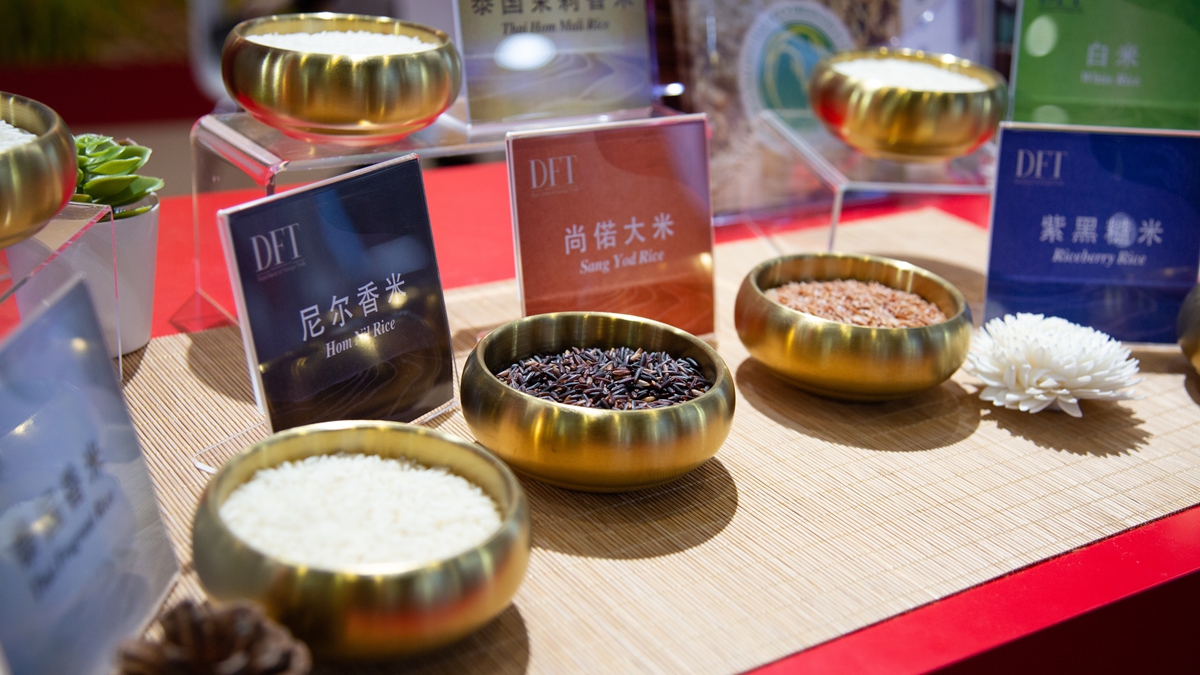 探访第八届进博会主宾国展馆