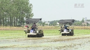 安徽淮南:智能化農(nóng)機(jī)助力推進(jìn)夏種工作