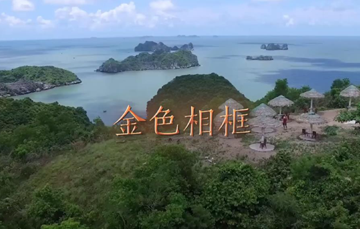 金色相框｜習(xí)近平對越南進行國事訪問